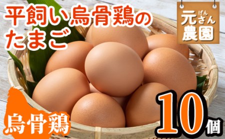 平飼い烏骨鶏のたまご (計10個) 元さん農園 卵 玉子 卵かけご飯 玉子焼き 平飼い 鶏 鶏卵 養鶏場直送 朝採れ 新鮮 大分県 佐伯市 