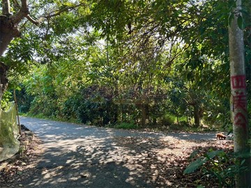 龜丹溫泉區社區旁芒果樂園｜台南市楠西區龜丹