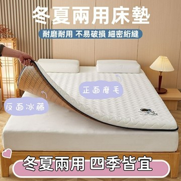 四季通用雙麵床墊宿捨正反兩用單雙人出租房專用可折疊藤席軟墊子 單人加大床墊 涼席床墊  雙面床墊 雙人床墊