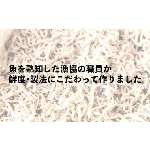 ふるさと納税 静岡県 沼津市 訳あり 釜揚げ しらす 1kg たっぷり 冷凍 小分け パック 500g ２パック 沼津 我入道漁協 特製