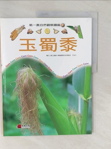 【書寶二手書T1／少年童書_YVE】玉蜀黍_王裕文