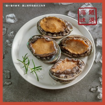 【海味嚴選】活凍鮑魚／550g／22入／10入／799免運／中國／鮑魚／生凍鮑魚／冷盤／喜宴／海鮮／送禮／海鮮宅配