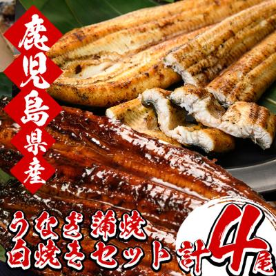 ふるさと納税 いちき串木野市 厳選!鹿児島県産うなぎの蒲焼2尾と白焼き2尾の食べ比べセット