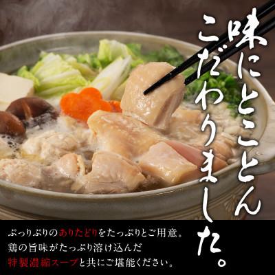 ふるさと納税 宇美町 濃厚スープと注目の銘柄鶏の旨味がたっぷり!博多風水炊きセット 6〜8人前(宇美町)