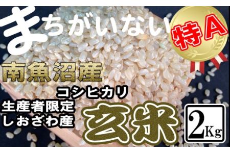 玄米 生産者限定 南魚沼しおざわ産コシヒカリ2Kg