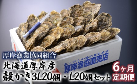 定期便 6ヶ月 北海道 厚岸産 牡蠣 3L 20個 と L 20個 ひと月あたり40個お届け (各回40個×6ヶ月分,合計240個) 殻付き 生食 かき カキ