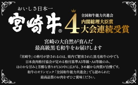 宮崎牛ロースステーキ200g×2枚(計400g)　宮崎牛ステーキ