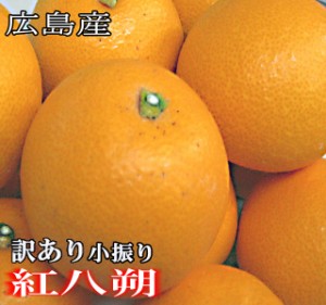 訳あり 小振り紅八朔 10ｋ 広島県産 八朔 家庭用八朔 八朔 訳あり 広島 尾道 小振り 紅八朔 べにはっさく 家庭用紅八朔 訳あり紅八朔 は