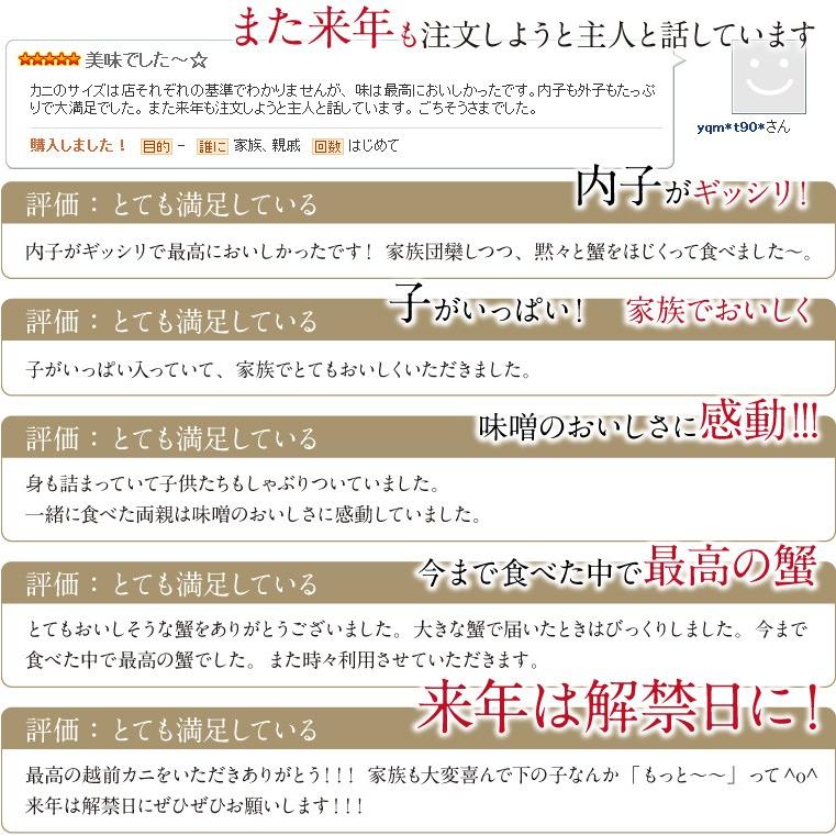 甲羅盛り セイコガニ 6個 香箱ガニ 甲羅盛 カニ 海鮮丼 せいこがに ボイル かに丼 カニ丼 ((冷凍))