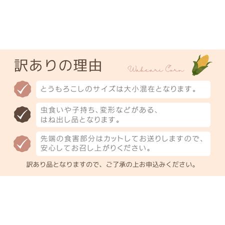 ふるさと納税  八千代町産 農家直送 朝採り とうもろこし おおもの 6kg トウモロ.. 茨城県八千代町