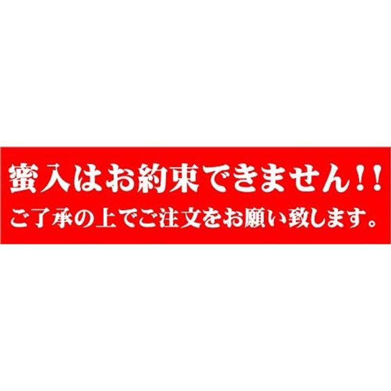 山形県産 準秀品 りんご サンふじ 5kg