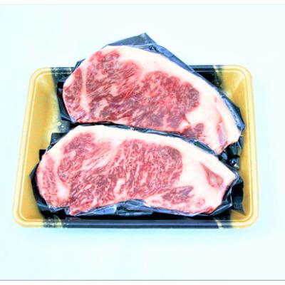 ふるさと納税 日向市 宮崎県産黒毛和牛サーロインステーキ(250g×2枚)計500g