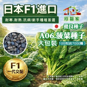 【綠藝家】大包裝A06 菠菜種子100克(約7000顆)藥劑處理  抗熱 抗寒 耐病 蔬菜種子 陽台種菜 園藝顆