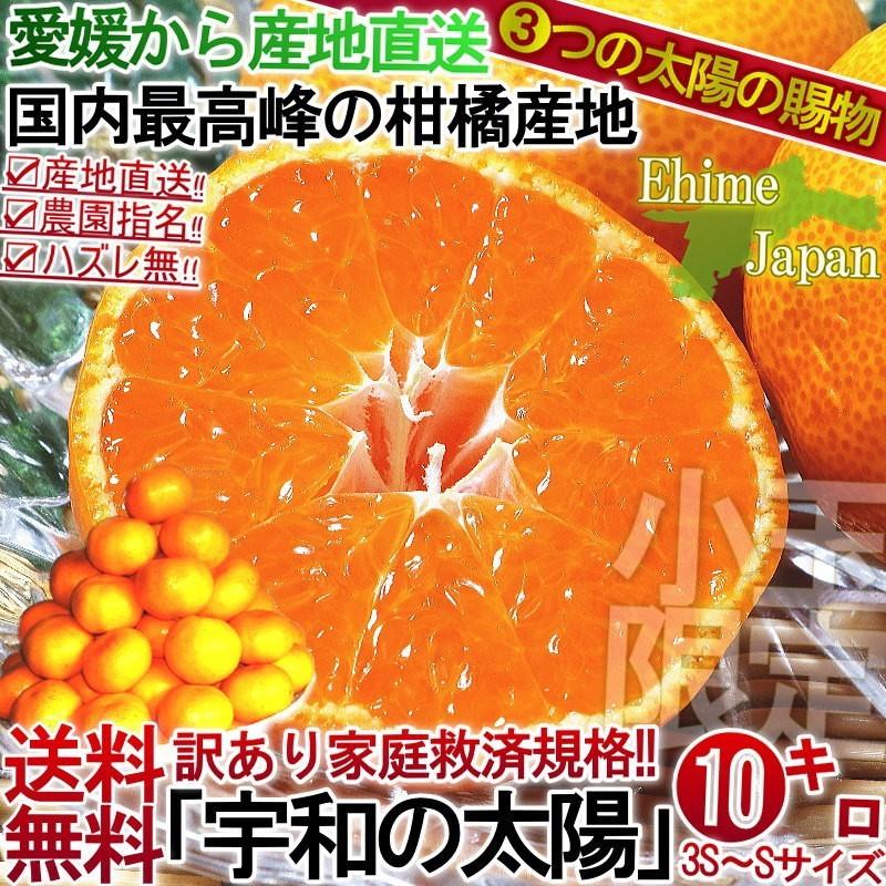 産地直送 宇和の太陽 温州みかん 約10kg 愛媛県産 小玉限定 S〜3Sサイズ 柑橘 えひめ蜜柑 3つの太陽 とりたて完熟ミカン