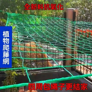 🔥臺灣熱賣好物🔥園藝爬藤網植物豌豆百香果黃瓜荷蘭豆苦瓜葡萄架種植網大棚尼龍網