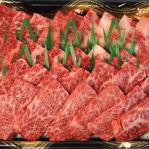 ふるさと納税 神戸牛　もも・かた　赤身　焼肉　モモ、カタ　1.2kg 兵庫県神戸市