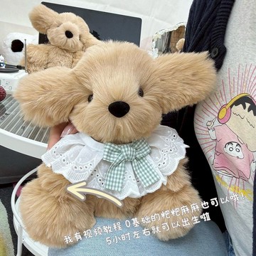 🔥台灣現貨 diy手作娃娃 小金毛玩偶 金毛錄音娃娃 diy材料包 手作材料包 手作娃娃 手作diy 錄音玩偶 手作禮物