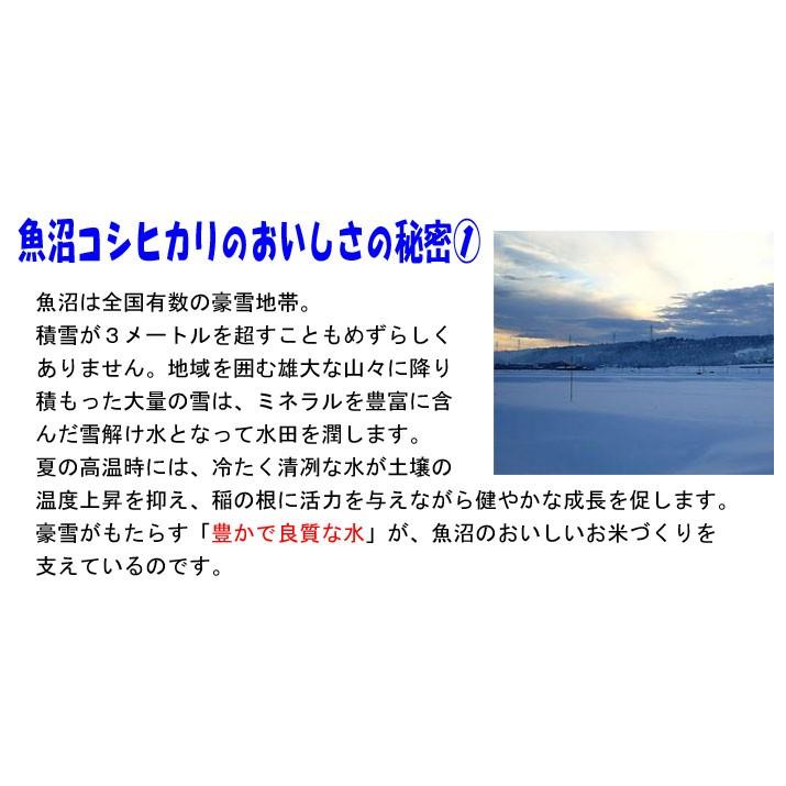 新米 令和5年産 特別栽培米 5kg 新潟県 魚沼産 コシヒカリ 玄米 白米 7分づき 5分づき 3分づき 出荷日精米  送料無料