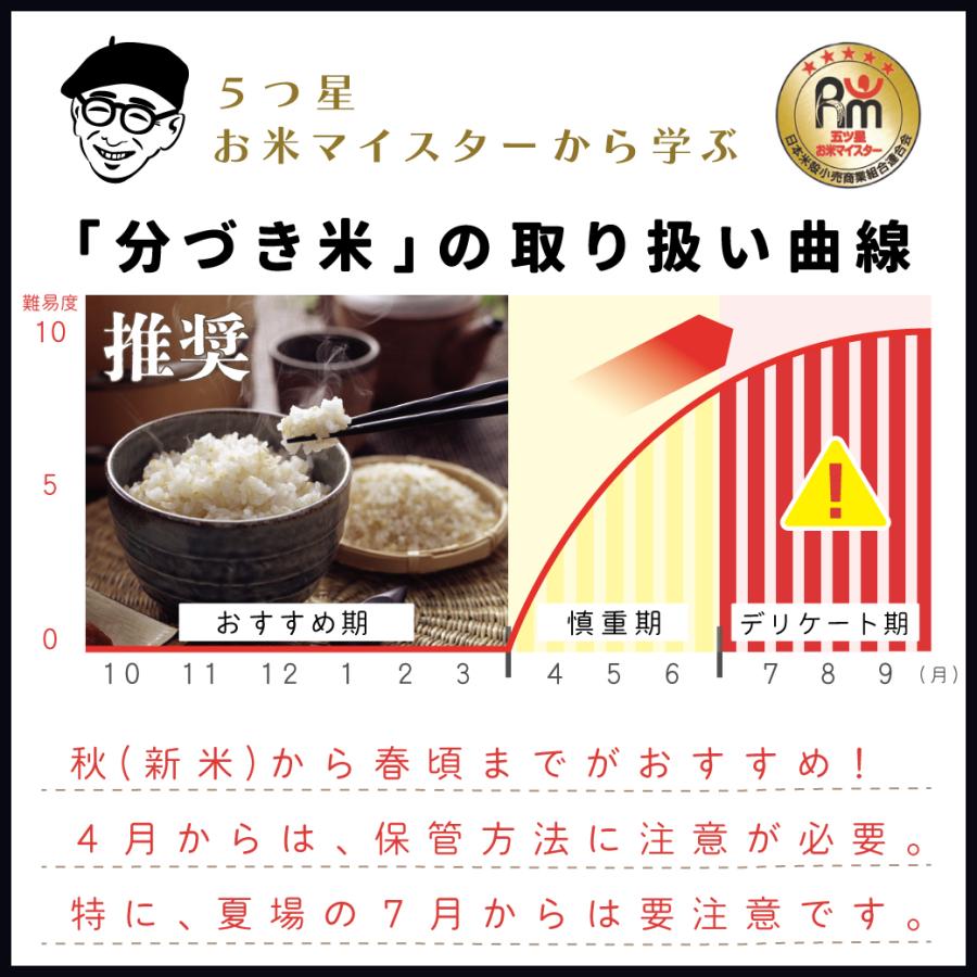 新米　玄米　分づき米　10kg　会津産コシヒカリ　会津豊熟米コシヒカリ　当店限定商品！