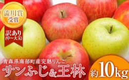  青森産 完熟 りんご 約10kg サンふじ 王林 2種セット (中～大玉)  青森りんご リンゴ 林檎 青森県 南部町 家庭用 澁川賞 受賞 果物 くだもの フルーツ 家庭用 わけあり ワケアリ 訳アリ 規格外品 F21U-227