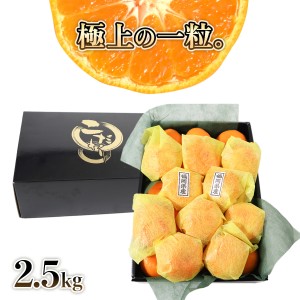 みかん 蜜柑 みつかん 2.5kg 送料無料 福岡県 八女市産 約15-30玉入り 化粧箱入り L-Sサイズ 秀品 プレゼント ギフト 贈答 お取り寄せ 常