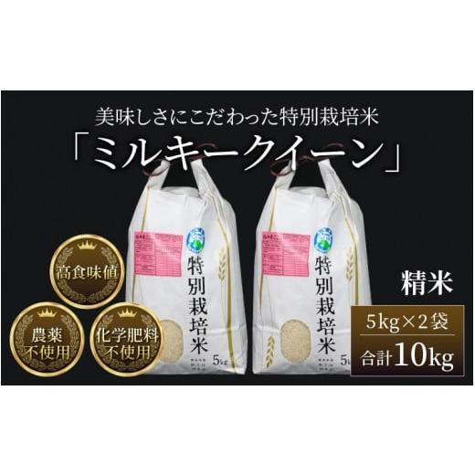 ふるさと納税 福井県 あわら市 令和5年産新米 ミルキークイーン 精米 5kg×2袋（計10kg） 特別栽培米 農薬不使用 化学肥料不使用 ／ 高品質 鮮度抜群 福井県産…