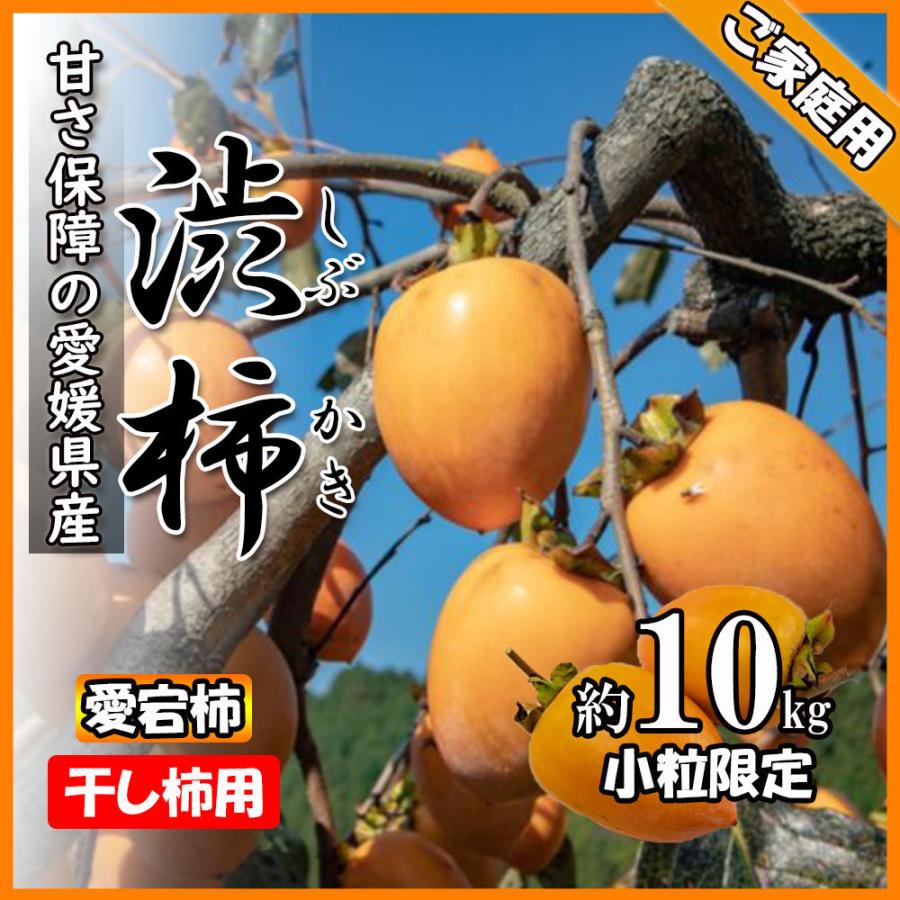 渋柿 かき 愛宕柿 小粒 干し柿用 愛媛県産 ご家庭用 10kｇ 送料無料 小さいサイズ