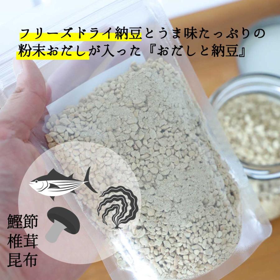 おだしと納豆 100g 2袋 ドライ納豆 納豆汁 ひきわり納豆 京のおだし