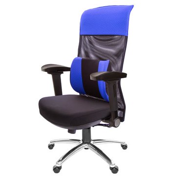 GXG 高背平軟座 電腦椅 (4D弧面摺疊扶手/鋁腳) TW-8758 LUA1D