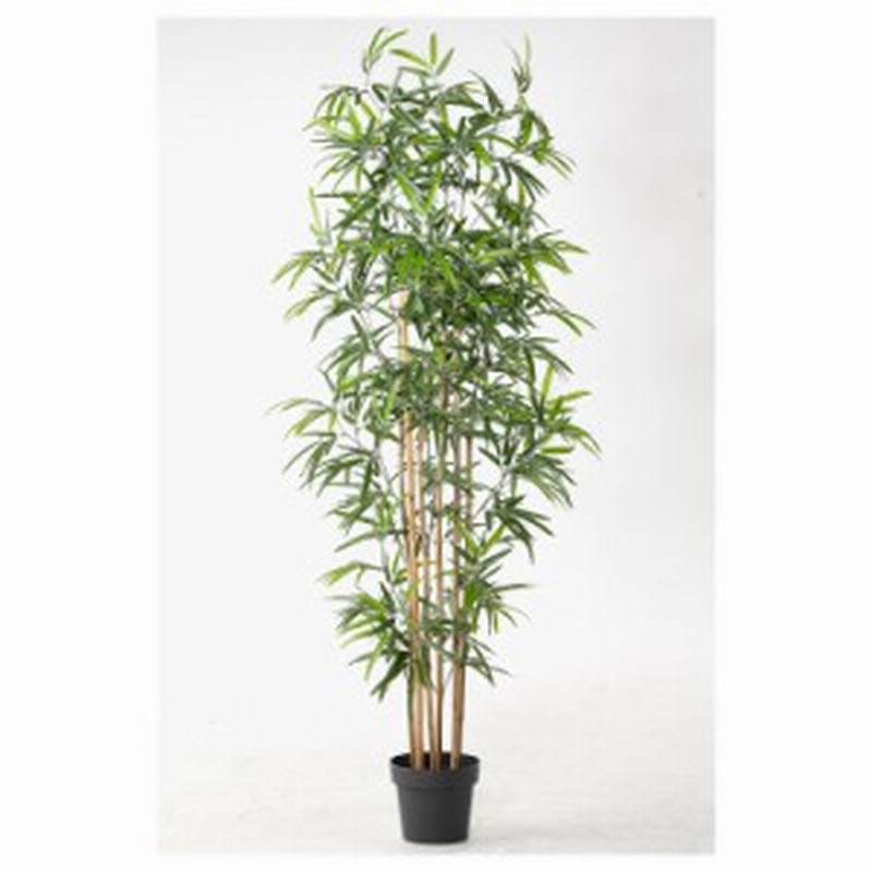 イケア Fejka 造花鉢植え 竹 Ikea 観葉植物 通販 Lineポイント最大1 0 Get Lineショッピング