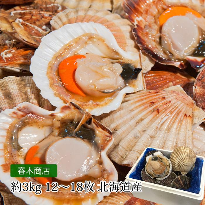 貝類 北海道産 天然活ホタテ 約3kg 約12〜18枚