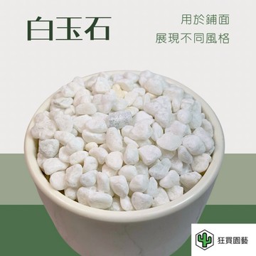 [狂買園藝] 鋪面介質 白玉石 0.5公升｜ 鋪面專用 園藝介質 多肉土 觀葉土 白鵝卵石 漢白玉 鵝卵石