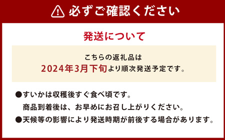 春の大玉すいか 2玉入 すいか 熊本産 果物 道の駅