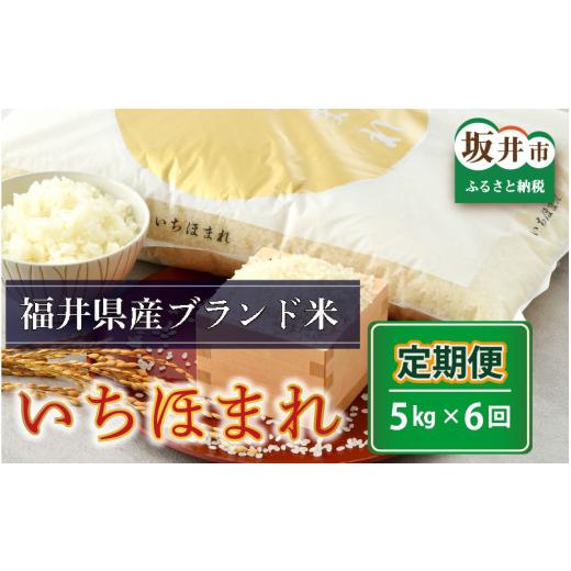 ふるさと納税 福井県 坂井市 さんさん池見二代目がお届けする 福井県産いちほまれ 5kg × 6回 計30kg（玄米） [F-0202_04]