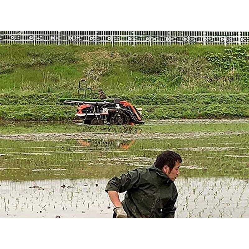 水菜土農園無洗米新米 令和4年産 秋田県産 あきたこまち 5kg 古代米お試し袋付き