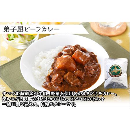 ふるさと納税 507.ビーフカレー 10個 セット 中辛 牛肉 業務用 レトルトカレー 野菜 備蓄 まとめ買い 北海道 弟子屈町 北海道弟子屈町