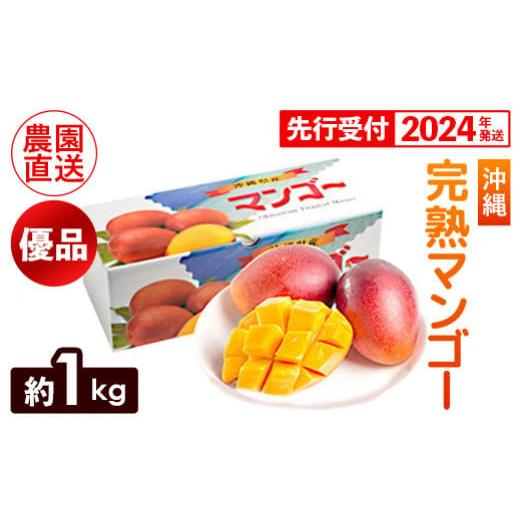 ふるさと納税 沖縄県 八重瀬町 ヤマト農園　完熟マンゴー約1kg（優品）