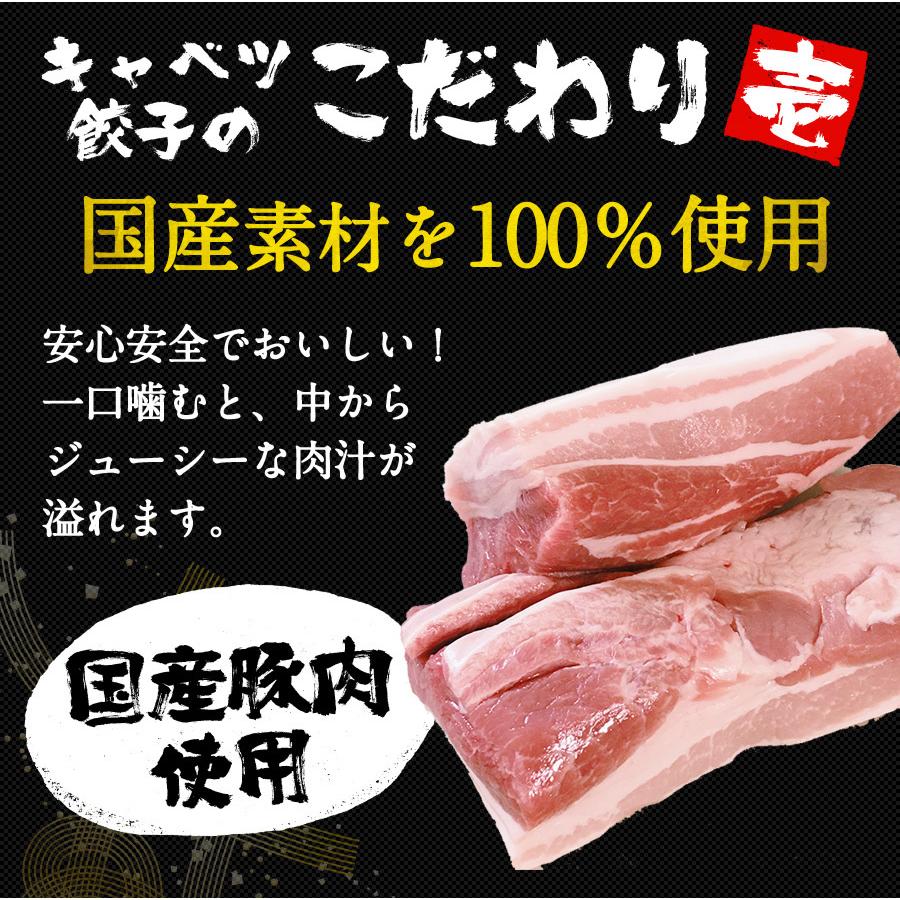 餃子 取り寄せ 業務用 冷凍 生餃子 国産素材 時短 お手軽 簡単 大容量 餃子計画 キャベツ餃子 50個入り