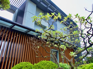 十三居士名邸❤️大安森林公園❤️無住過❤️低調樂居｜台北市中正區新生南路一段