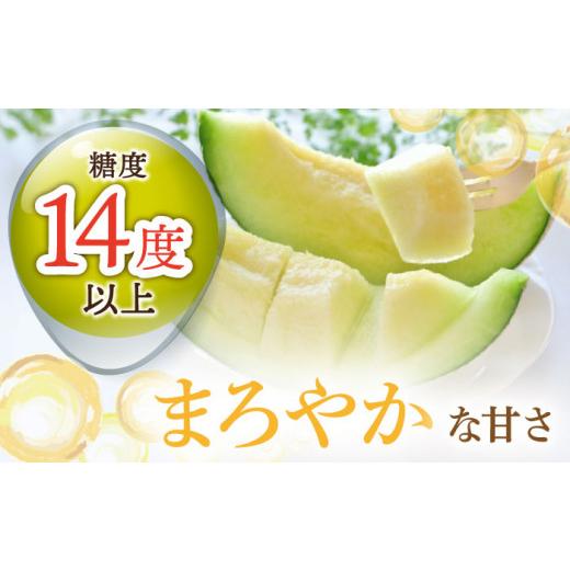 ふるさと納税 長崎県 小値賀町 ＜先行予約＞  タカミメロン  約5kg（3〜5玉） フルーツ 果物 国産 小値賀町／な…