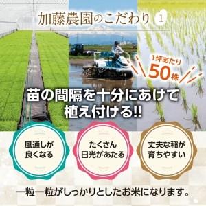 ふるさと納税 SA1723　令和5年産はえぬき　10kg(5kg×2袋)「農家直送」 KA 山形県酒田市