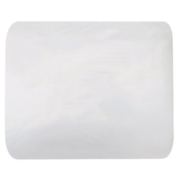 PE塑膠袋  36 x 25cm  1包