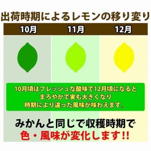 レモン 和歌山県産 訳あり 国産レモン 3.5kg