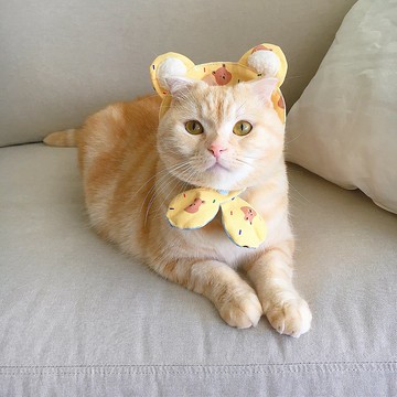 【恰氏手作】熊寶貝 寵物造型領巾項圈貓狗領巾