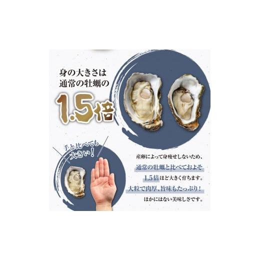 ふるさと納税 広島県 呉市 沖元水産 かき小町 殻付き 牡蠣 10個 牡蠣ナイフ、レシピ付