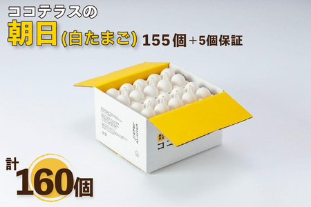 ココテラスの朝日（白たまご）155個   5個保証（計160個）