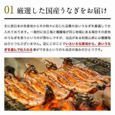 ふるさと納税 うなぎ 有田市 国産うなぎ蒲焼き2本(計240g~298g)セット