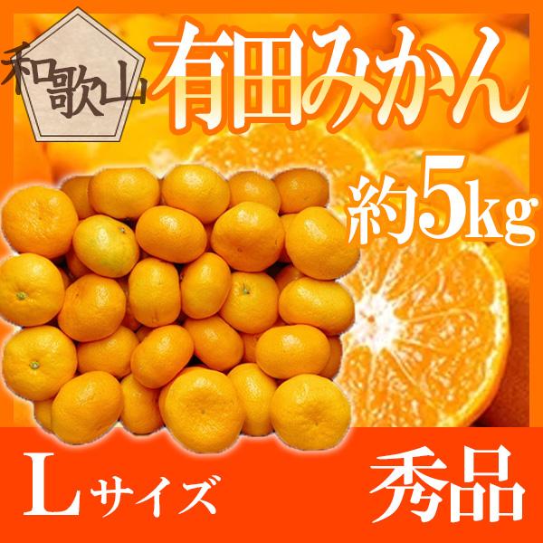 和歌山県産　有田みかん　Lサイズ　約5kg　秀品