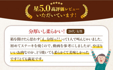 博多和牛 牛肉  ヒレ ステーキ 200g×2枚  ＜肉のくまもと屋＞那珂川市 牛肉 肉 黒毛和牛 ブランド牛 国産  BBQ バーベキュー ヒレ肉 和牛 ヒレステーキ 九州産 [GBI001]