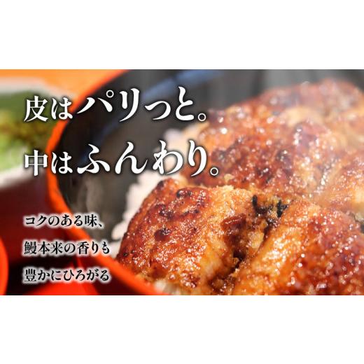 ふるさと納税 宮崎県 宮崎市 宮崎県産 備長炭蒲焼 うなぎ蒲焼 4尾 セット 合計600g以上_M159-003